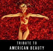 Tribute to American Beauty